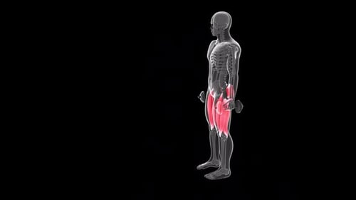 Front View Of 3d Alternate Front Lunges 2 Dumbbell