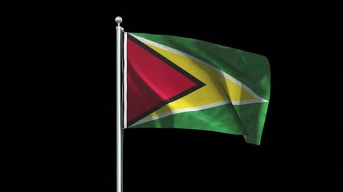 Realistic Waving Flag Of Guyana On Flagpole Loop