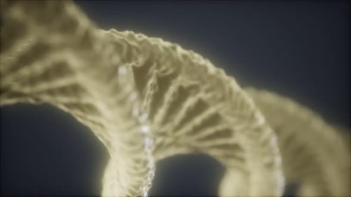 Loop Double Helical Structure of Dna Strand Close-up Animation