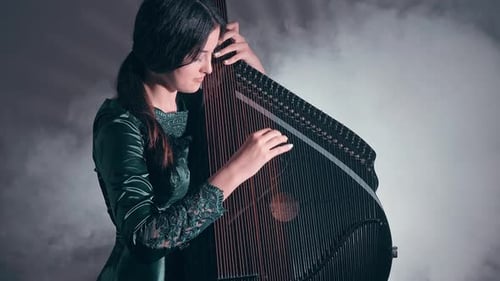Woman Playing a Stringed Musical Instrument