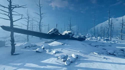 Crashed Airplane in Desolate Snowy Winter Landscape 3D Animation
