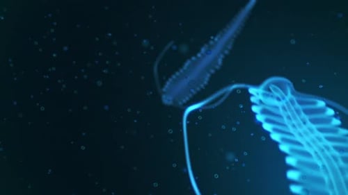 Deep sea bioluminescent and translucent creature. Polychaete Tomopteris.