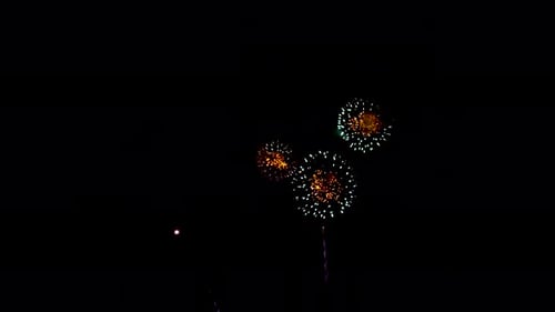 Many flashing colourful fireworks in event amazing with black background celebrate New Year.