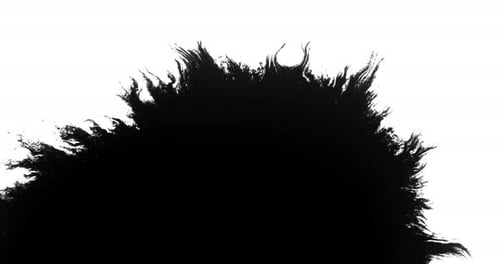 Black Ink Drop Spreading on White Background