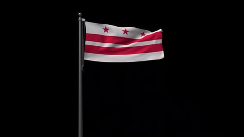 Realistic Waving Flag of Washington D.C. Loop