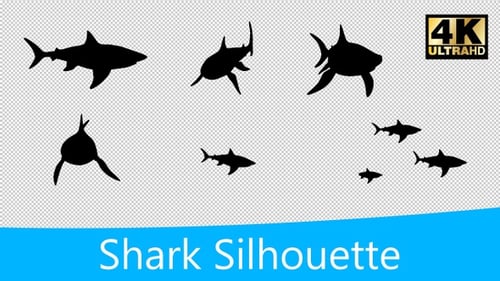 Animated Black Shark Silhouettes Swimming on Alpha Channel