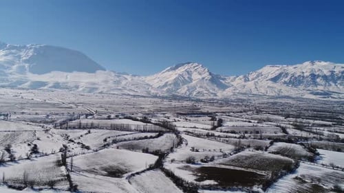 Winter Agricultural Fields