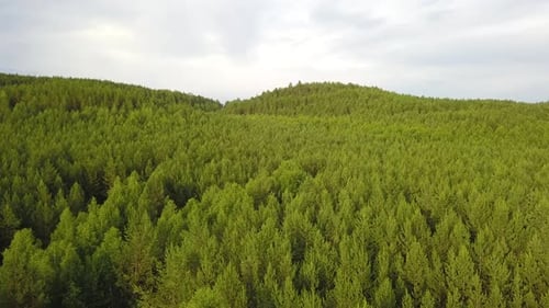 Natur & Wald