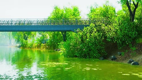 Grüner Rasen im Stadtpark mit Sumpf unter sonnigem Licht