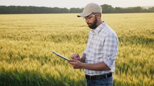 Man with Beard Works on a Digital Tablet in a Wheat Field