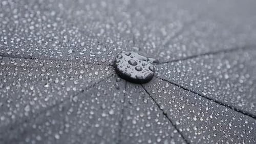 Top of black umbrella surface weather forecast background slow-mo 1080p FullHD footage - Slow mot