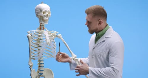 Doctor Explains Human Anatomy Using Skeleton Model