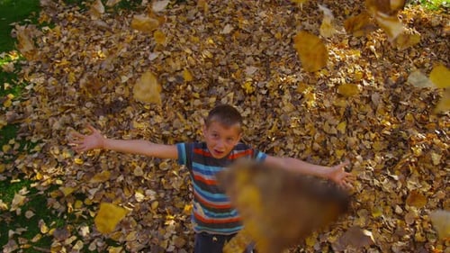 Child Plays Tossing Autumn Leaves