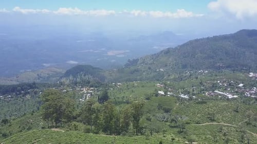 Tea Plantation and Forest on Slope of Mountain Near Town