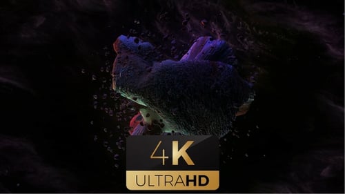 Abstract Morphing Space Object with Cosmic Particles