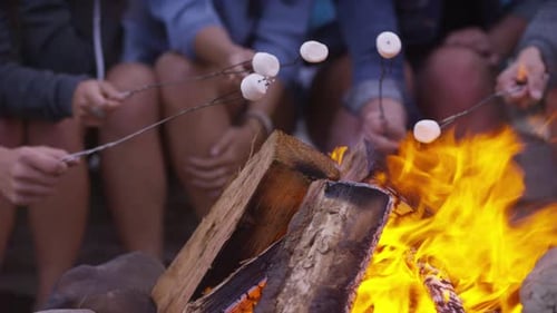 Group of friends at beach roasting marshmallows on fire, closeup