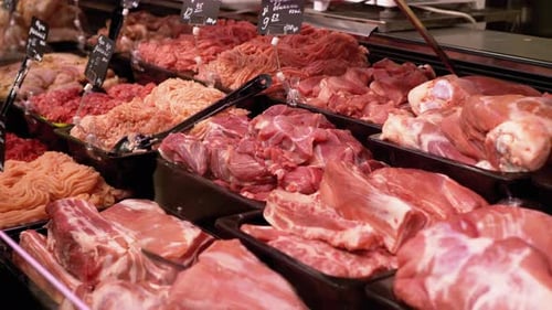 Fresh Raw Meat with Price Tags on the Showcase in the Store