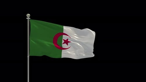 Algeria National Flag Waving in Realistic 3D Animation