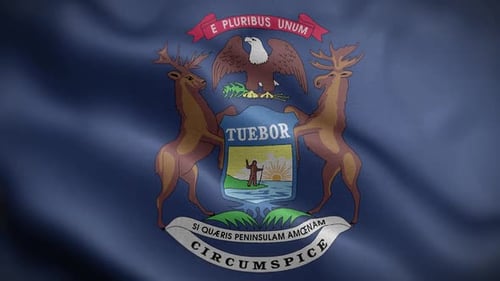 Waving Michigan State Flag Loop