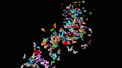 Schmetterling HD