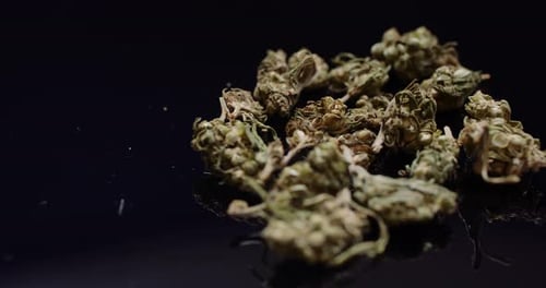 Conceito de drogas de cannabis - Tratamento médico