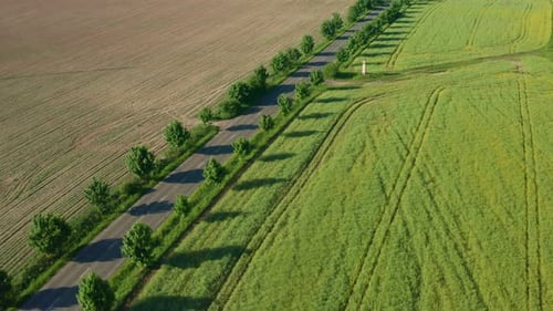 Motorcycle on Scenic Road Surrounded by Green Fields