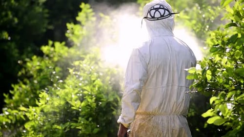 Man spraying toxic pesticides, pesticide, insecticides on fruit lemon growing plantation in Spain