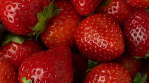 Close Up of Fresh Red Strawberries
