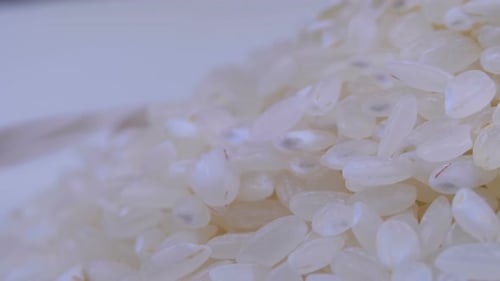 Grains of Raw Rice Rotate Close-up