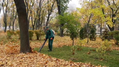 Worker Blowing the Autumn Leaves with a Leaf Blower. Fallen Leaves Cleaning