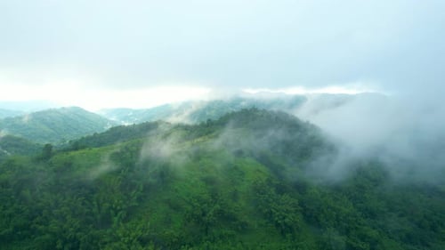 4K Aerial Drone shot flying over beautiful mountain ridge in rural jungle bush forest.