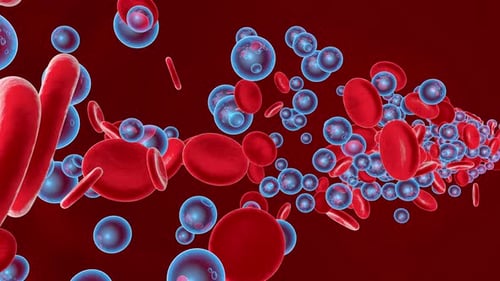 Red Blood Cells and Blue Microscopic Organisms Flowing in Bloodstream