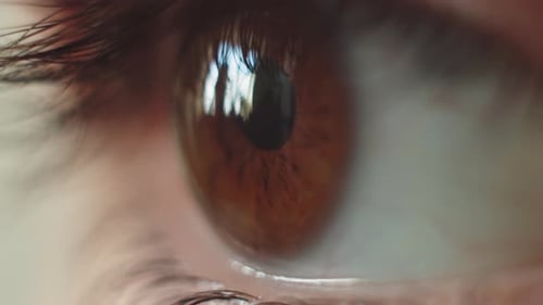 Perfektes Makro für braune Augen in steriler Umgebung und perfektes Sehen