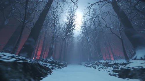 Allée forestière dans un épais brouillard. Arbres nus en hiver. Paysage sombre et maussade
.