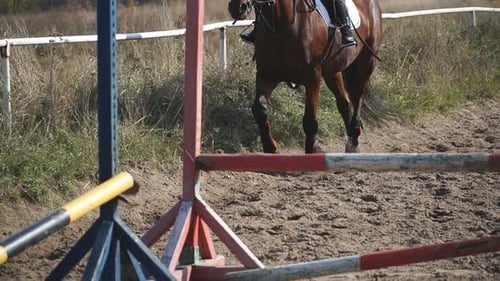 Horse Jumps Over Obstacles in Equestrian Course