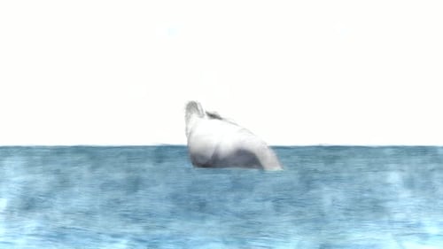 Artistic Sketch Animation of a Swan Swimming in Water