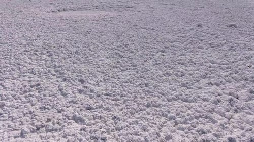 Clean Saline Pattern Texture. Large Salt Lake. Big Saline. Aerial Drone Top Down View.
