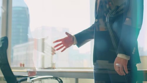 Two Businessmen Shaking Hands in Office