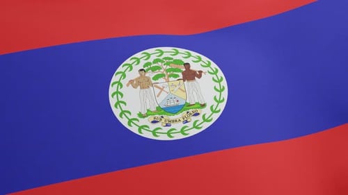 Belize National Flag Waving Realistic Fabric Animation