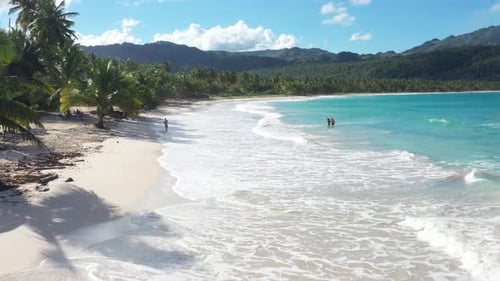 4k 30fps A Sunny Day In The Caribbean Beach With Palmstree And The Waves