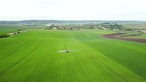 Tractor Is Spraying Pesticides on Grain Field. Farm Machinery Spraying Insecticide To the Green