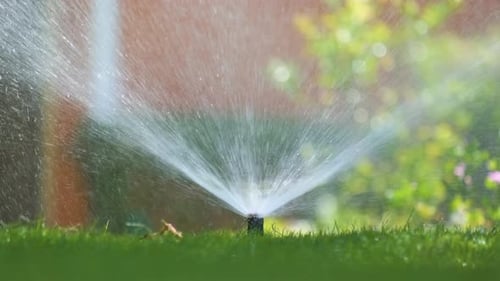 Aspersor de plástico irrigando gramado de grama com água no jardim de verão