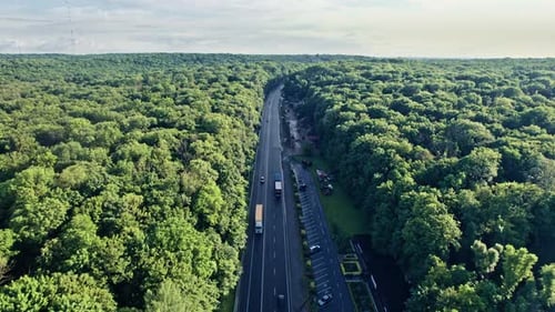 Car Driving Down Road Through Green Forest Valley with Trees