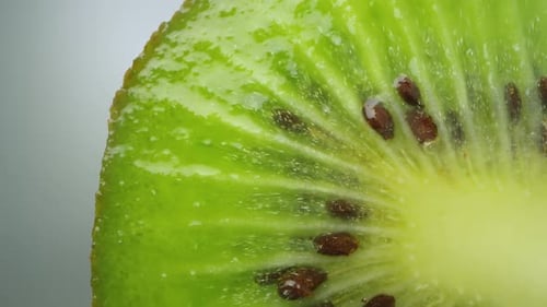 Macro View of a Fresh Kiwi Fruit Slice