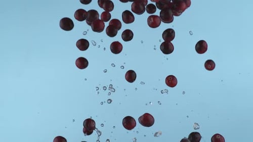 Arándanos frescos a cámara lenta, capturados con Phantom Flex 4K a 1000 fotogramas por segundo