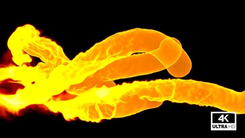 Fluid Fire Elemental Transition