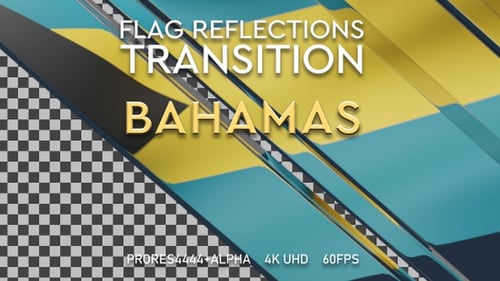 Modern Glossy Panel Transition Reveal