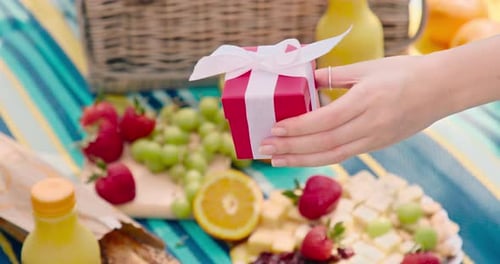 Gift Exchange During a Sunny Picnic Outdoors