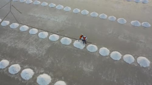 Aerial top view of farmers making heaps of raw sea salt piles with sea. Farm field outdoor. Nature