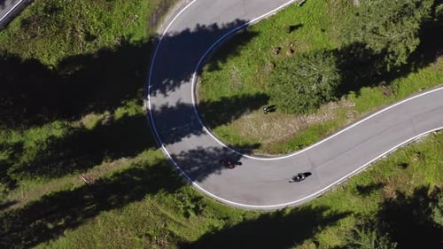 Drone Shot of Lush Forest Trees and Curved Road Going to the Mountains